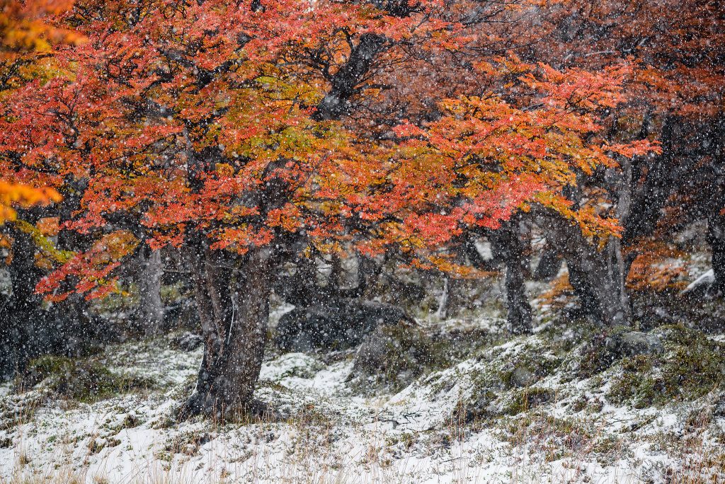 Patagonia autumn winter scenery