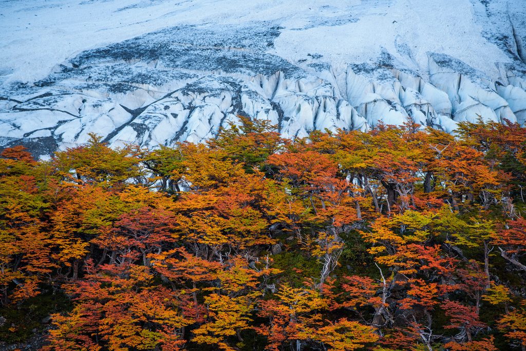 Patagonia autumn scenery
